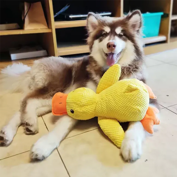 The Growing Mart Dog Plush Toy Duck Cuddle Comfort Anxiety Relief