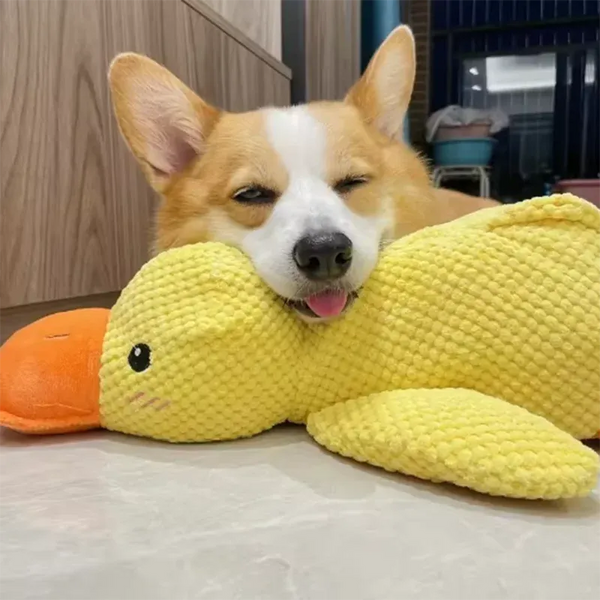 The Growing Mart Dog Plush Toy Duck Cuddle Comfort Anxiety Relief