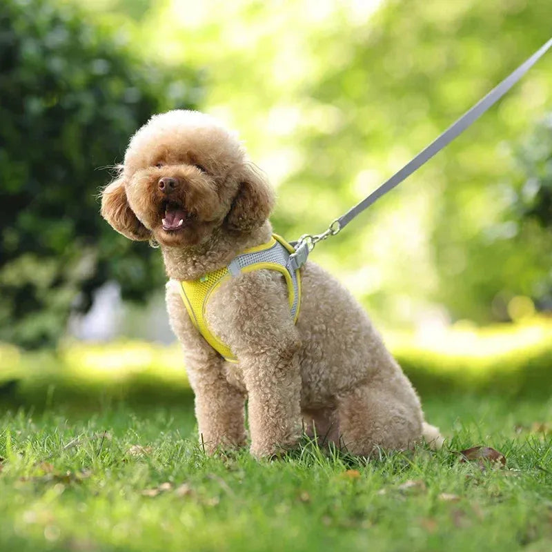 The Growing Mart Puppy Harness Set Adjustable No-Pull Leash Combo