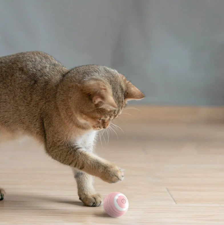The Growing Mart Best Automatic Cat Toy for Indoor Cats – Smart Rolling Ball