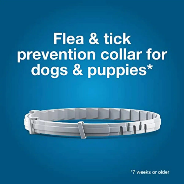 Flea & Tick Collar For Small Dogs , 8 Month Protection
